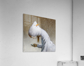 snowman Acrylic Print
