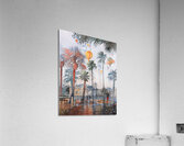 Celebration in the Early Morning the Sky Full of Hot Air Balloons Acrylic Print