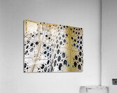 Flutter Acrylic Print