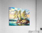 Muskoka Pine Trees Acrylic Print