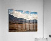 The Fallen Fence Post Acrylic Print