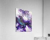 Iris 2 Acrylic Print