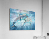 Dolphins in the ocean  Acrylic Print