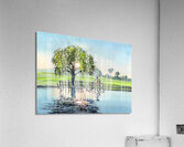 Celebration Florida - The young girl her bicycle and her dog Acrylic Print