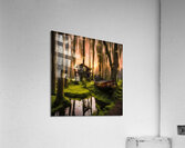 BACK IN THE SWAMP Acrylic Print