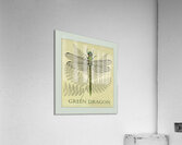 Green Dragonfly  Acrylic Print