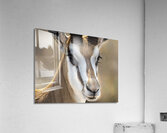 Elegance in Nature Acrylic Print