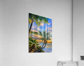 IMG 9998 Acrylic Print