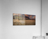 Natures Artistry Unveiled Acrylic Print
