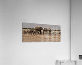 Natures Waterhole Clash Acrylic Print