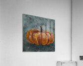 Pumpkin on Gray  Acrylic Print