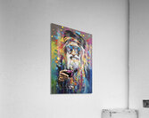 IMG 9560 Acrylic Print