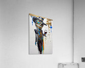 IMG 9799 Acrylic Print