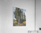 Van Gogh   Zypressen mit zwei weiblichen Figuren. Acrylic Print