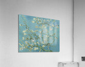 Vincent van Gogh   Almond blossom Acrylic Print