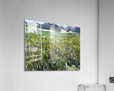 Vincent van Gogh   House at Auvers Acrylic Print