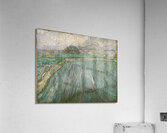 Vincent Willem van Gogh Dutch   Rain Acrylic Print