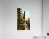 1910 university of washington campus art row1 Acrylic Print