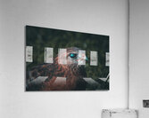 Eye of the Hawk  Acrylic Print