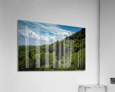 Summer at the Viaduct  Acrylic Print