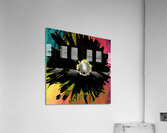 Dark Daisy on Colourful Background Acrylic Print