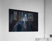 Great Blue Heron - Beak of Disapproval Acrylic Print