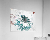 Abstract Dark Centred Daisy on a Pink and White Abstract Background Acrylic Print