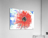 Abstract Red Daisy Flower on a Coloured Abstract Background Acrylic Print