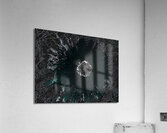 Distressed Dark Daisy with Dark Centre on Dark Abstract Background Acrylic Print