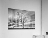 Foudroye  Acrylic Print