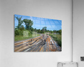 Somebody Seems Happy Acrylic Print