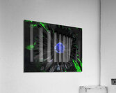  Abstract Dark Double Daisy Flower on a Dark Abstract Background Acrylic Print