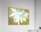 Abstract Minty Daisy Flower on an Abstract Fawn Background Acrylic Print