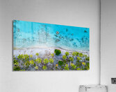 Separation Acrylic Print
