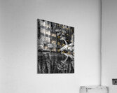 Reflecting Pine B W Acrylic Print