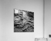 Network B W Acrylic Print