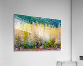 Riverbank Gold Acrylic Print