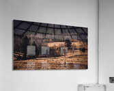 Colorado Late Autumn Meadow 3 Acrylic Print