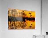 Florida Sunrise Acrylic Print