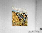Fence Line Acrylic Print