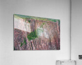 Rock Wall Forest  Acrylic Print