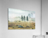 Trees In The Mist Acrylic Print