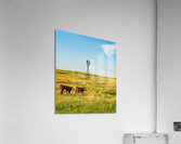 Iconic Sandhills Scene Acrylic Print