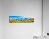 Desert And Mountains Acrylic Print