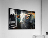 Longhorn Bull 1 Acrylic Print
