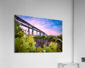 Vineyard and bridge Acrylic Print
