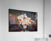 Bunchflower Daffodil - Artistic  Acrylic Print