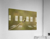 The Lonely Hummingbird  Acrylic Print