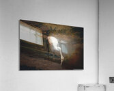 Beautiful Roseate Spoonbill  Acrylic Print