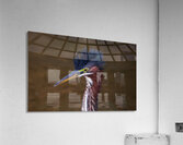 Green Heron - Flushed and Fabulous Acrylic Print